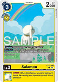 Salamon EX12-040 C (Digital World Shambala) 