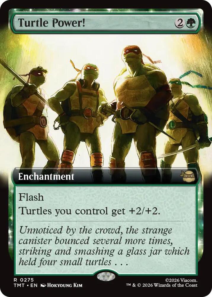 Turtle Power! 275/190 (Teenage Mutant Ninja Turtles)  - Extended Art 